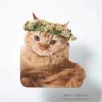 prod_13-13.webp